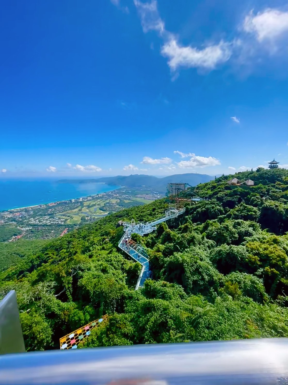 三亚植物园景点介绍图片