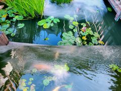 -凤凰山斑鱼馆(恭城店)