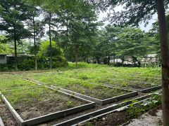 -新塘水果乐园(东洲大道店)