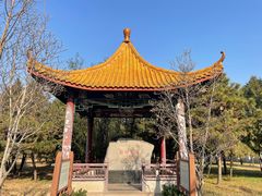 -天元公园