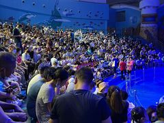 -烟台海昌鲸鲨海洋公园