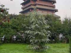 -西安汉城湖景区