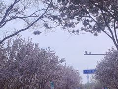-睦南公园