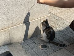 -荔湾湖公园