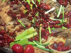 -老板恋上鱼(恒隆广场店)