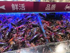 -四囍码头海鲜烧烤自助火锅(外滩南京东路悦荟广场店)