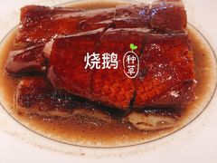 -东富酒家(龙湖西溪天街店)