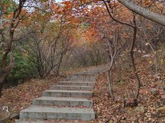 -北京西山国家森林公园