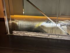 -泰·菩提树下[泰式按摩x精油SPAx肩颈头疗](新景店)