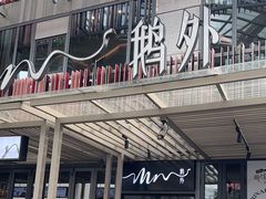 -MR鹅外
