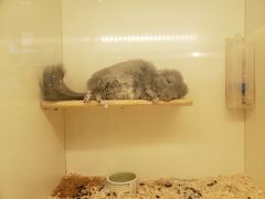 -龙猫仔乐园(惠福东路店)