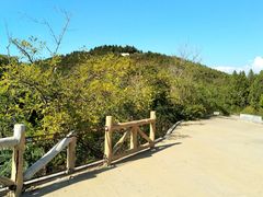 -水池山公园
