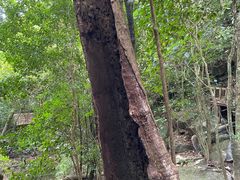 -七仙岭温泉国家森林公园