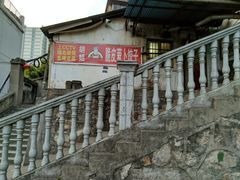 -半月镰胡姐脆皮萝卜饺子