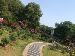 -东湖落雁景区