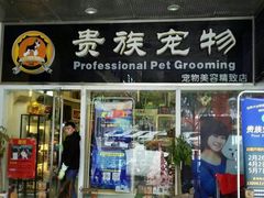 -贵族宠物·宠物美容(三阳路店)