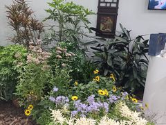 -国家会展中心