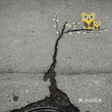 充满童趣的开心。