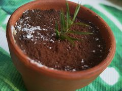 -亮马河饭店翠雅咖啡厅