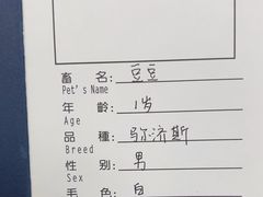 -申普宠物医院·心脏介入·心血管微创(总院)