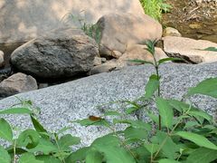 -碓臼峪自然风景区