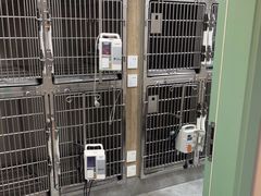 -半岛宠物医院24小时·内窥镜·牙科·碎石中心(府城大道店)