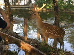 -清迈夜间动物园