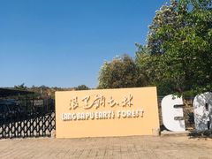 -元谋浪巴铺土林景区