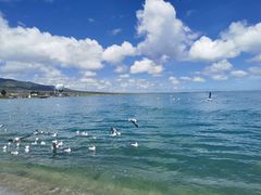 -青海湖国家重点风景名胜区