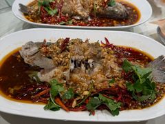 -杨氏青龙虾·羊蝎子(金盛路总店)
