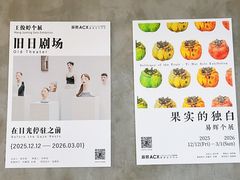 -辰熙ACX星海艺术中心