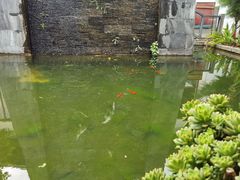 -瑞丰园庭院餐厅·白族传统家常菜