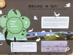 -深圳湾公园(南山区)