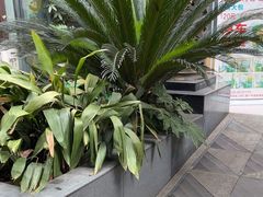 -晶爵酒店(宽窄巷子店)