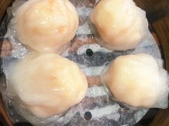 水晶虾饺皇-金翠河烧鹅粤式茶餐厅(龙湖三千集天街店)