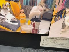 -谜盒子奇幻密室(南屏店)