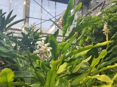 -北京植物园-展览温室