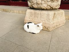 -西园寺素食(西园弄戒幢律寺店)