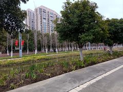 -皇粮浜湿地公园