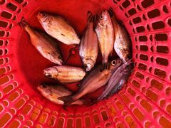 -胜海大排档·海鲜·黄鳝饭(十年老店)