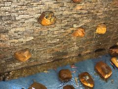 -汇景花园酒家(基立下道店)