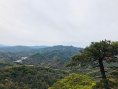 -天女山森林公园