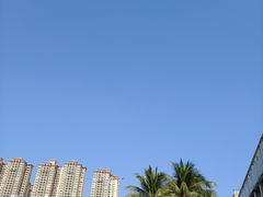 -馨越楼·点心·粤菜(赤坎店)