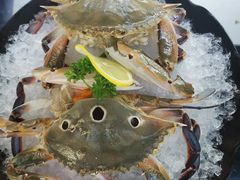 -马家斑.鲜鱼火锅(松湖万科店)