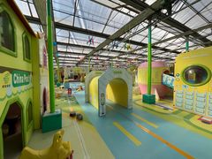 -南宫五洲植物乐园