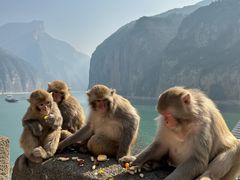 -白帝城·瞿塘峡景区