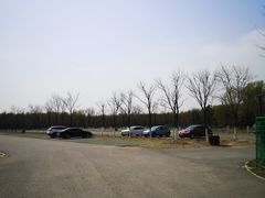 -东郊湿地公园