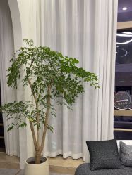 -JNK皮肤管理中心