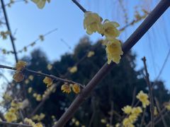 -莲池书院博物馆