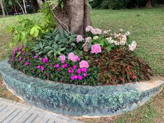 -人民公园(罗湖区)